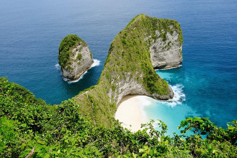 Tropical Paradise